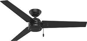 Hunter Cassius Indoor/Outdoor Ceiling Fan