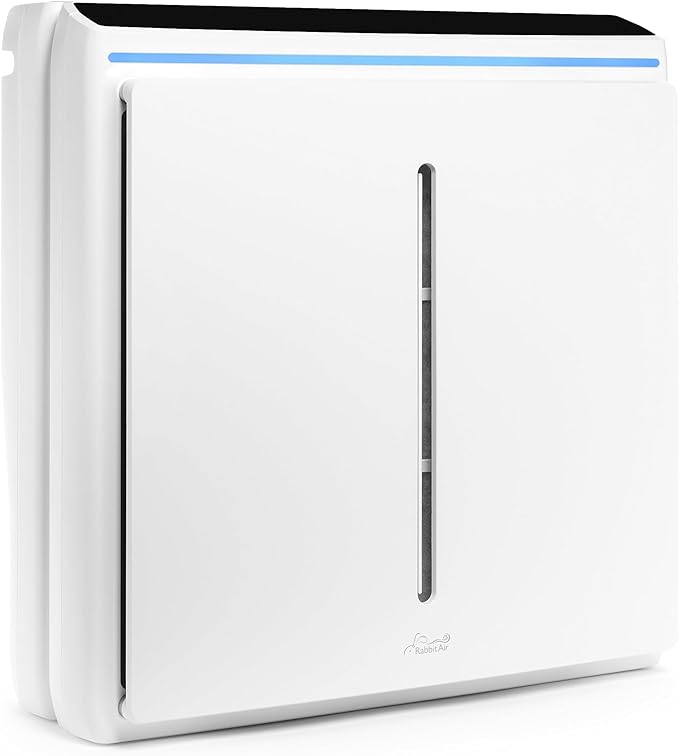 Rabbit Air A3 SPA-1000N Ultra Quiet HEPA Air Purifier