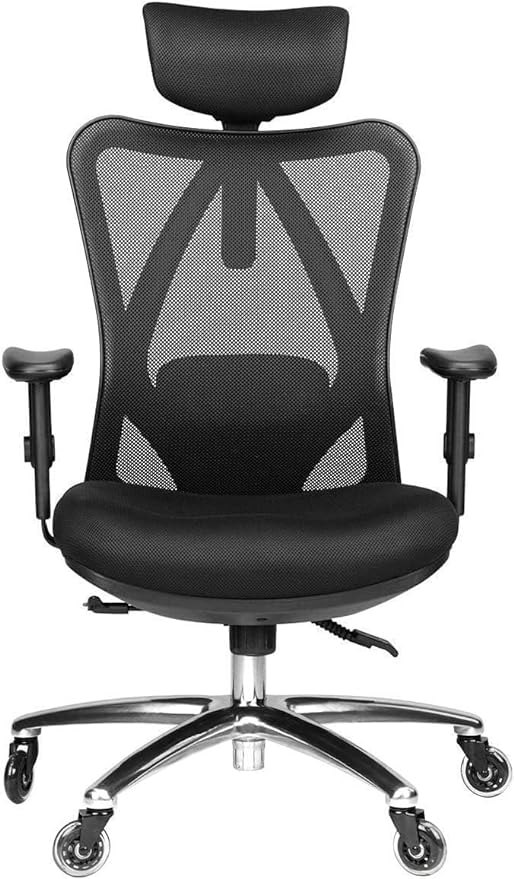 Duramont Ergonomic Office Chair