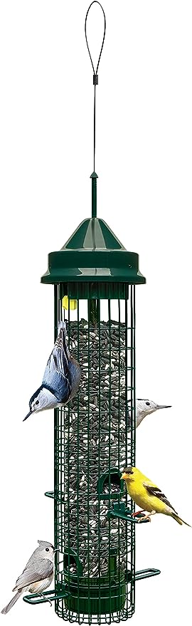 Squirrel Buster Classic Squirrel-proof Bird Feeder