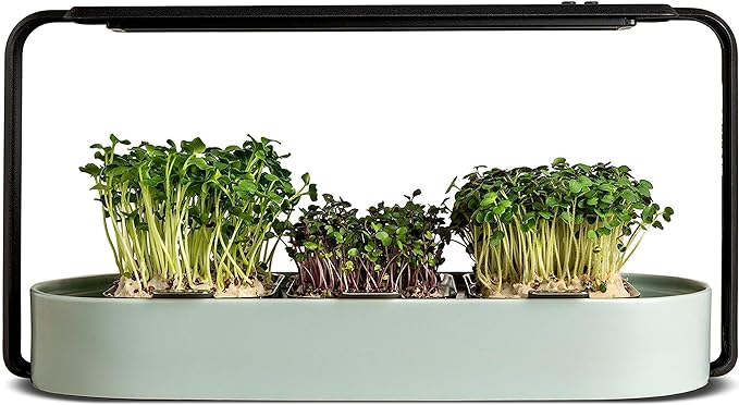 ingarden Microgreens Growing Kit