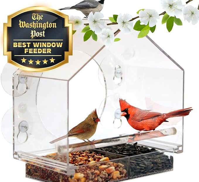 Nature Anywhere Transparent Acrylic Window Bird Feeder