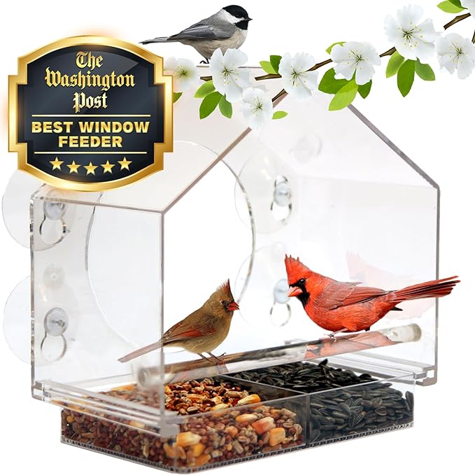 Nature Anywhere Transparent Acrylic Window Bird Feeder