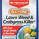 Bioadvanced All In One Lawn Weed And Crabgrass Killer I, Concentrate, 40 Oz