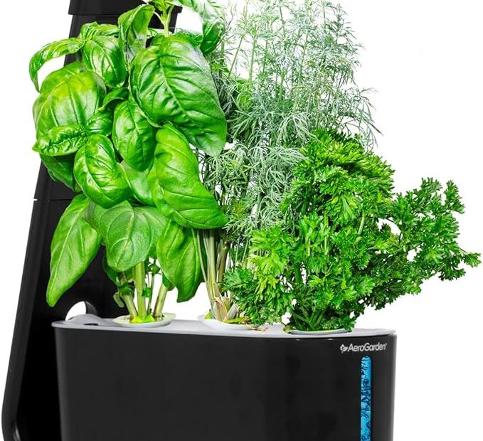 Aerogarden Sprout Indoor Garden With Led Grow Light, Black