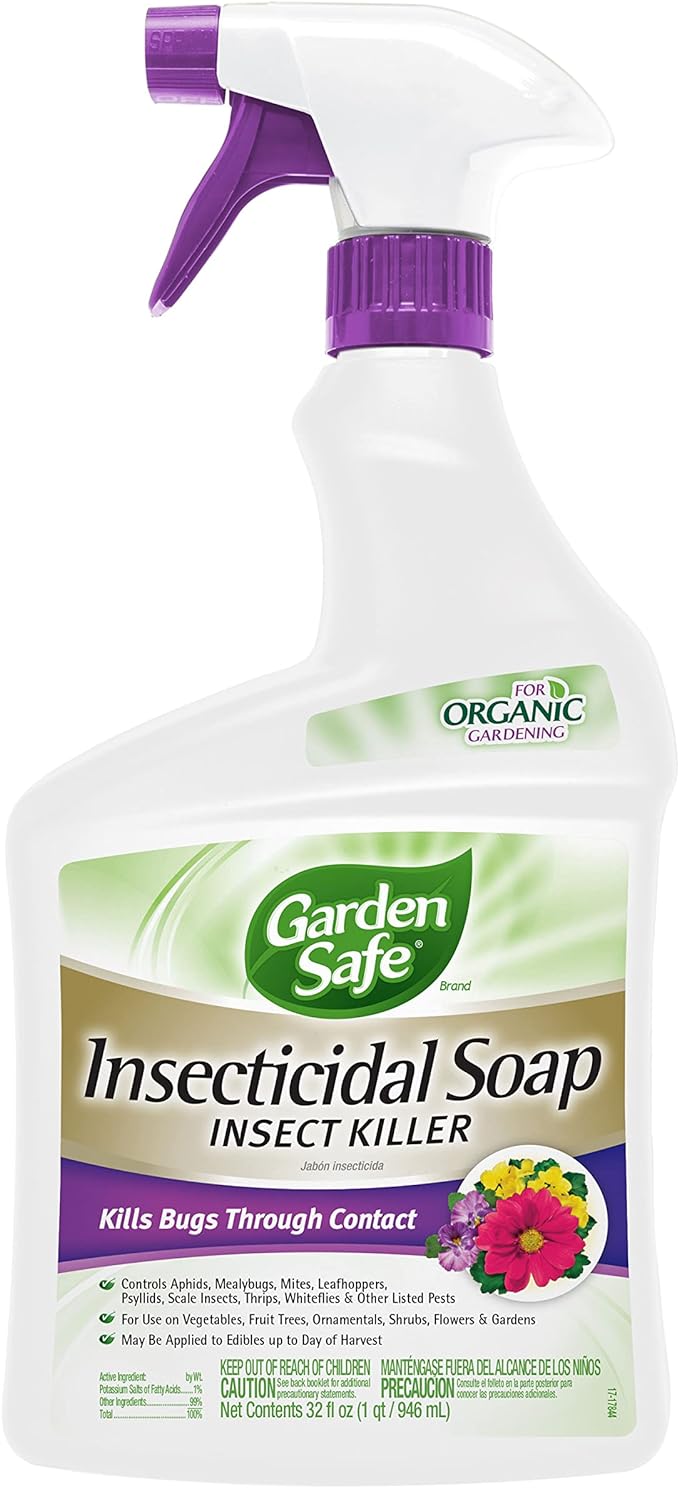 Garden Safe 32 oz. Insecticidal Soap Ready-to-Use, 1 Count (Pack of 1)