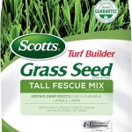 Scotts Turf Builder Grass Seed Tall Fescue Mix