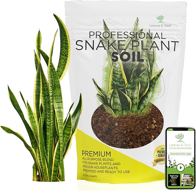 Professional Snake Plant Soil