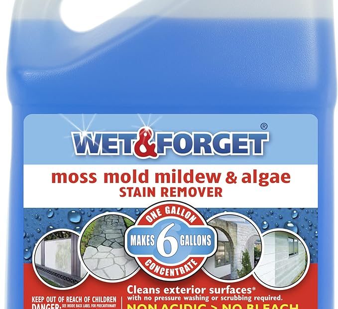 Wet & Forget Outdoor Cleaner Concentrate