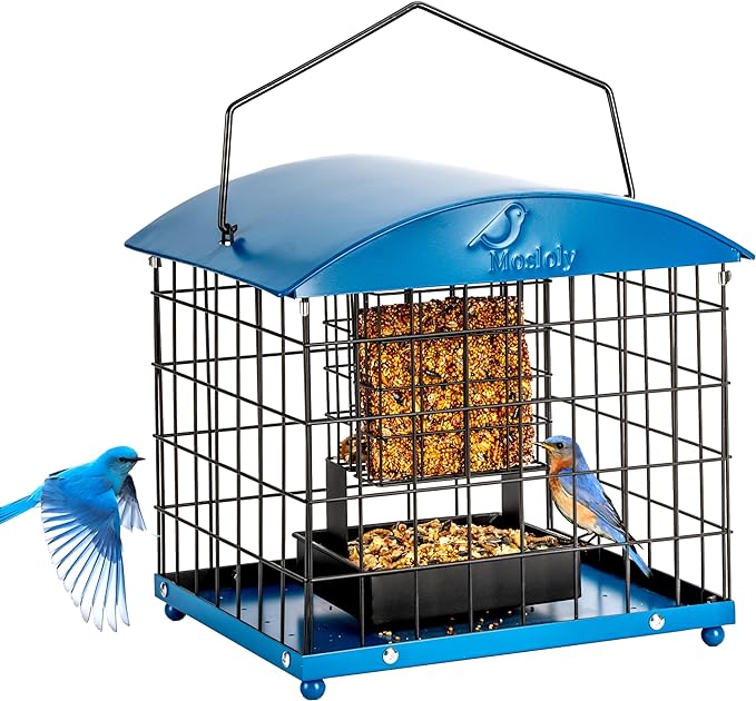 Caged Suet Bird Feeders Squirrel-Proof