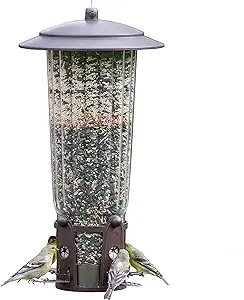 Perky-Pet Squirrel-Be-Gone Max Wild Bird Feeder