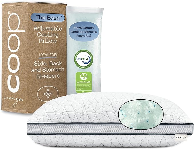 Coop Home Goods Eden Bed Pillow Queen Size