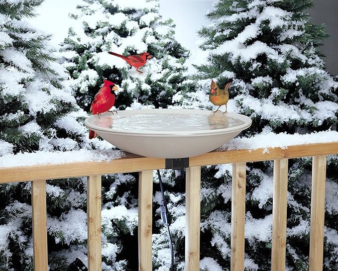 API Heated Bird Bath